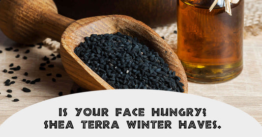 Is Your Face Hungry? Shea Terra Winter Haves.