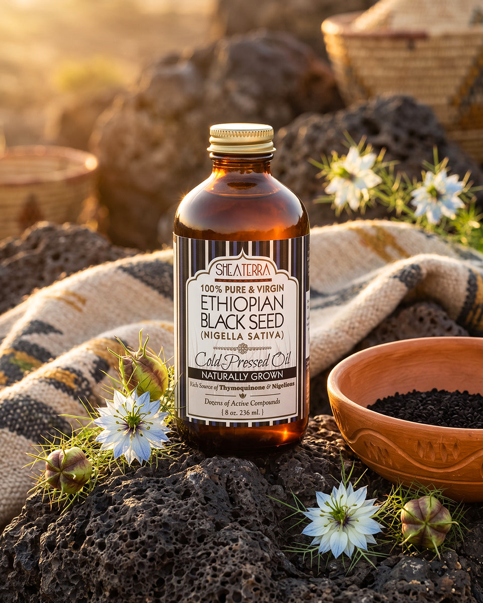 100% Pure Ethiopian Black Seed Oil 8 oz. (Very Strong, Naturally Grown in Bale Valley, Cold Pressed)