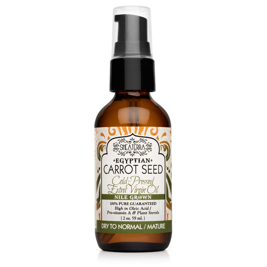 Carrot Root Oil Benefits Compared to Carrot Seed  Miracle Botanicals–  Miracle Botanicals Essential Oils