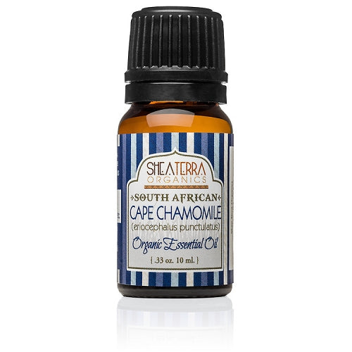 South African Cape Chamomile Essential Oil (Certified Organic)