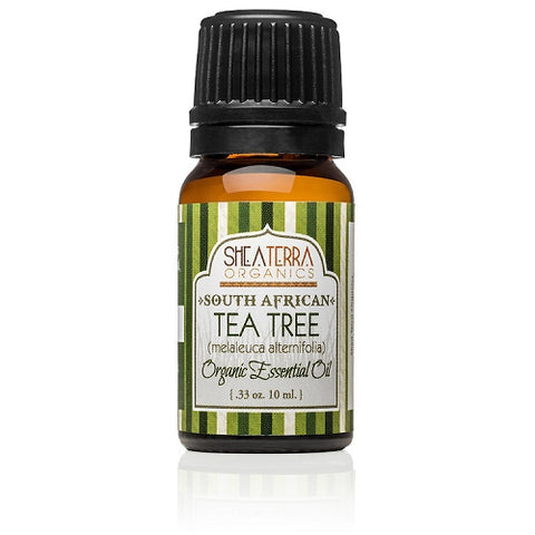 South African Tea Tree Essential Oil (Certified Organic) – SHEA TERRA  ORGANICS